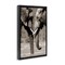 Stupell Industries Heartwarming Elephant Pair Floating Frame By Paul Souders